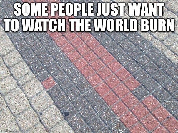 Why!?!?! | SOME PEOPLE JUST WANT TO WATCH THE WORLD BURN | image tagged in memes,you had one job | made w/ Imgflip meme maker