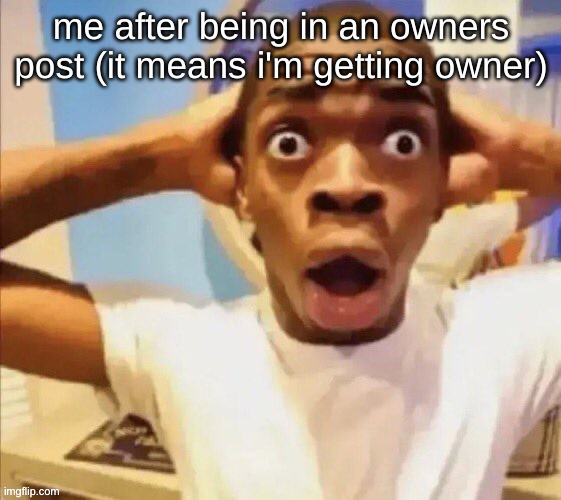 in shock | me after being in an owners post (it means i'm getting owner) | image tagged in in shock | made w/ Imgflip meme maker