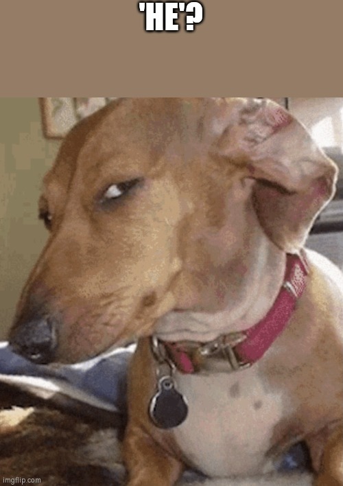 Side eye dog | 'HE'? | image tagged in side eye dog | made w/ Imgflip meme maker