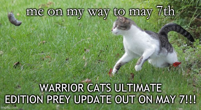 Warrior cat meme | me on my way to may 7th; WARRIOR CATS ULTIMATE EDITION PREY UPDATE OUT ON MAY 7!!! | image tagged in warrior cat meme,excited | made w/ Imgflip meme maker