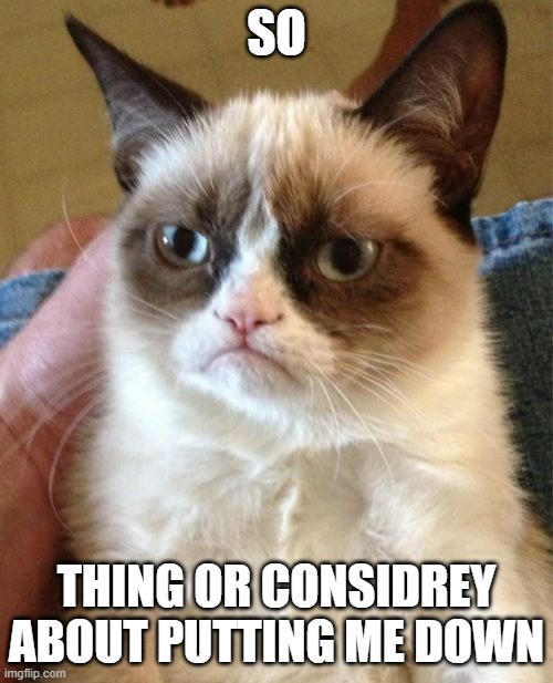 Grumpy Cat | SO; THING OR CONSIDREY ABOUT PUTTING ME DOWN | image tagged in memes,grumpy cat | made w/ Imgflip meme maker