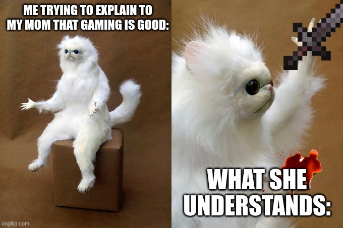 Gaming me explaining | ME TRYING TO EXPLAIN TO MY MOM THAT GAMING IS GOOD:; WHAT SHE UNDERSTANDS: | image tagged in memes | made w/ Imgflip meme maker