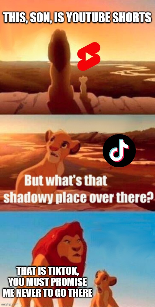 Tiktok is a nightmare of trends. | THIS, SON, IS YOUTUBE SHORTS; THAT IS TIKTOK, YOU MUST PROMISE ME NEVER TO GO THERE | image tagged in memes,simba shadowy place | made w/ Imgflip meme maker