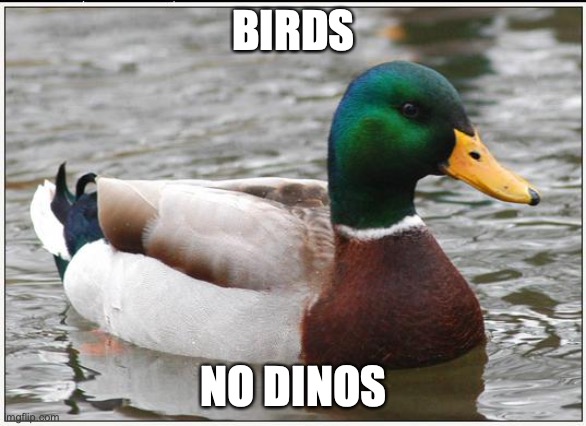 duks | BIRDS; NO DINOS | image tagged in memes,actual advice mallard | made w/ Imgflip meme maker