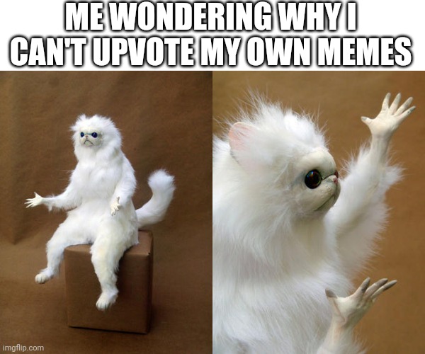 *no upvotes intensifies* | ME WONDERING WHY I CAN'T UPVOTE MY OWN MEMES | image tagged in memes,persian cat room guardian | made w/ Imgflip meme maker