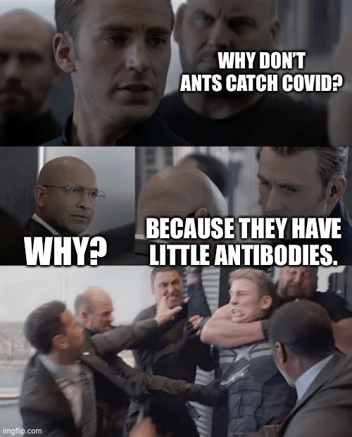 Captain america elevator | WHY DON’T ANTS CATCH COVID? WHY? BECAUSE THEY HAVE LITTLE ANTIBODIES. | image tagged in captain america elevator | made w/ Imgflip meme maker