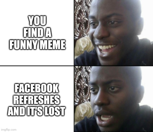 Happy / Shock | YOU FIND A FUNNY MEME; FACEBOOK REFRESHES AND IT'S LOST | image tagged in happy / shock | made w/ Imgflip meme maker