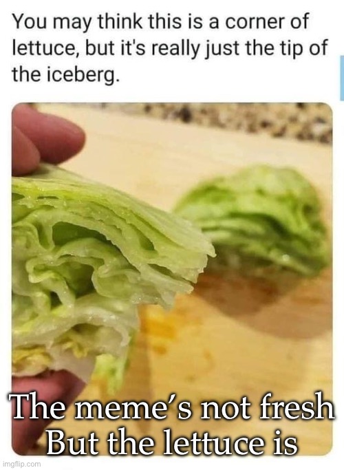 Lettuce pun | The meme’s not fresh
But the lettuce is | image tagged in lettuce,pun,dad joke,iceberg,tip | made w/ Imgflip meme maker