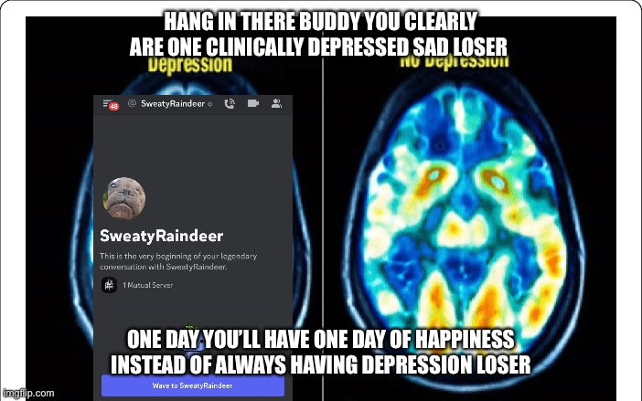 SweatyRaindeer Has Depression | HANG IN THERE BUDDY YOU CLEARLY ARE ONE CLINICALLY DEPRESSED SAD LOSER; ONE DAY YOU’LL HAVE ONE DAY OF HAPPINESS INSTEAD OF ALWAYS HAVING DEPRESSION LOSER | image tagged in loser | made w/ Imgflip meme maker