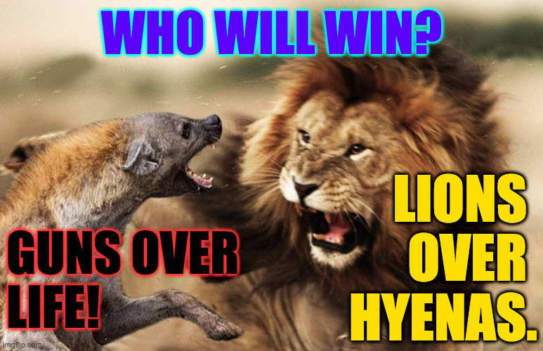 Political Science Part II. | WHO WILL WIN? LIONS 
OVER 
HYENAS. GUNS OVER
LIFE! | image tagged in memes,lions,hyenas,political science | made w/ Imgflip meme maker