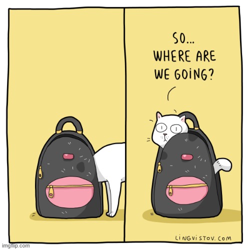A Cat's Way Of Thinking | image tagged in memes,comics/cartoons,cats,inside,purse,gotta go cat | made w/ Imgflip meme maker