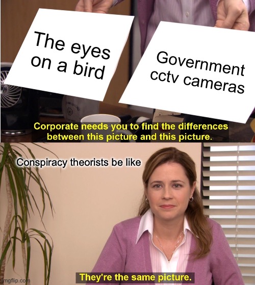 They're The Same Picture | The eyes on a bird; Government cctv cameras; Conspiracy theorists be like | image tagged in memes,they're the same picture | made w/ Imgflip meme maker