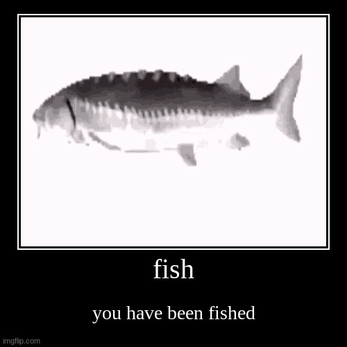 the fish has fished you with his fishy fishyness | image tagged in funny,demotivationals,fish,you have been fished | made w/ Imgflip demotivational maker
