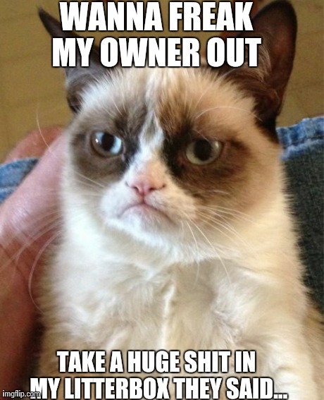 Grumpy Cat | WANNA FREAK MY OWNER OUT  TAKE A HUGE SHIT IN MY LITTERBOX THEY SAID... | image tagged in memes,grumpy cat | made w/ Imgflip meme maker