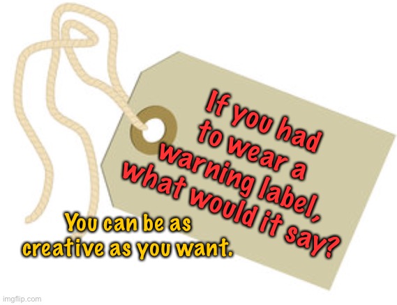 Be creative warning label | If you had to wear a warning label, what would it say? You can be as creative as you want. | image tagged in warning label,you wear,what would it say,fun | made w/ Imgflip meme maker