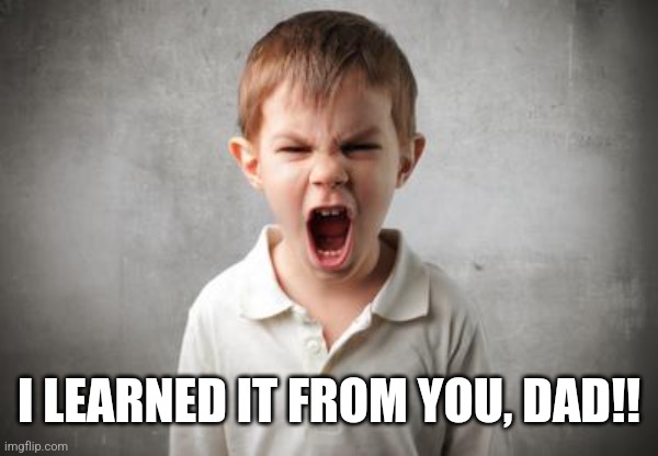 angry kid | I LEARNED IT FROM YOU, DAD!! | image tagged in angry kid | made w/ Imgflip meme maker