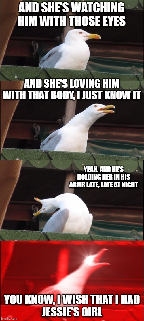 Rick Springfield | AND SHE'S WATCHING HIM WITH THOSE EYES; AND SHE'S LOVING HIM WITH THAT BODY, I JUST KNOW IT; YEAH, AND HE'S HOLDING HER IN HIS ARMS LATE, LATE AT NIGHT; YOU KNOW, I WISH THAT I HAD
JESSIE'S GIRL | image tagged in memes,inhaling seagull | made w/ Imgflip meme maker
