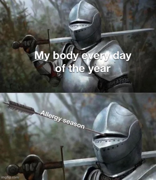 image tagged in memes | made w/ Imgflip meme maker