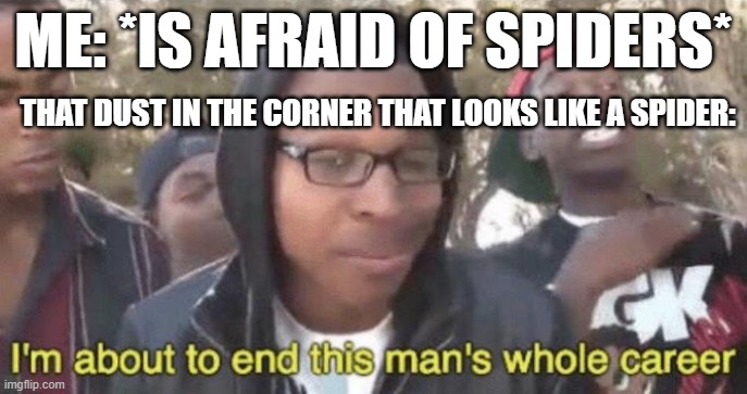 I’m about to end this man’s whole career | ME: *IS AFRAID OF SPIDERS*; THAT DUST IN THE CORNER THAT LOOKS LIKE A SPIDER: | image tagged in i m about to end this man s whole career | made w/ Imgflip meme maker