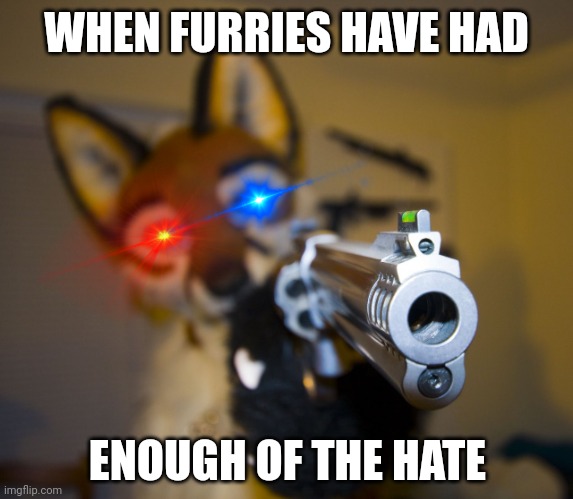 Stop the hate | WHEN FURRIES HAVE HAD; ENOUGH OF THE HATE | image tagged in furry with gun | made w/ Imgflip meme maker