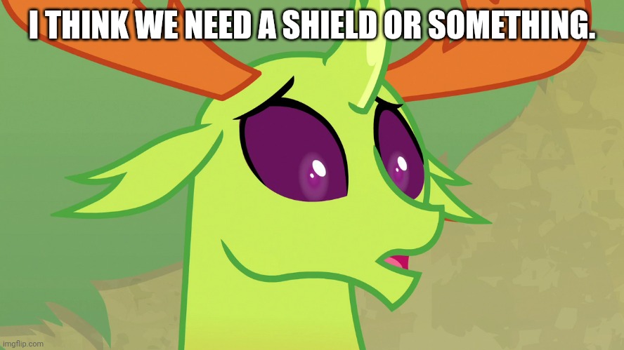 Confused Thorax (MLP) | I THINK WE NEED A SHIELD OR SOMETHING. | image tagged in confused thorax mlp | made w/ Imgflip meme maker
