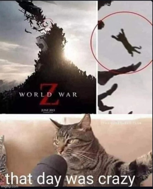 Cat wwz | image tagged in funny,cats | made w/ Imgflip meme maker