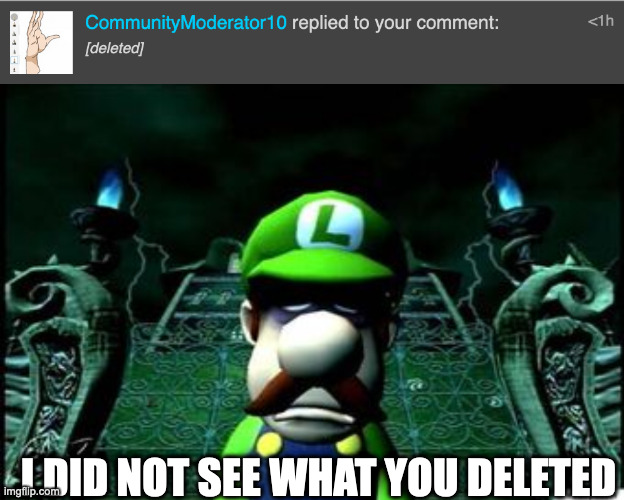 I DID NOT SEE WHAT YOU DELETED | image tagged in depressed luigi | made w/ Imgflip meme maker