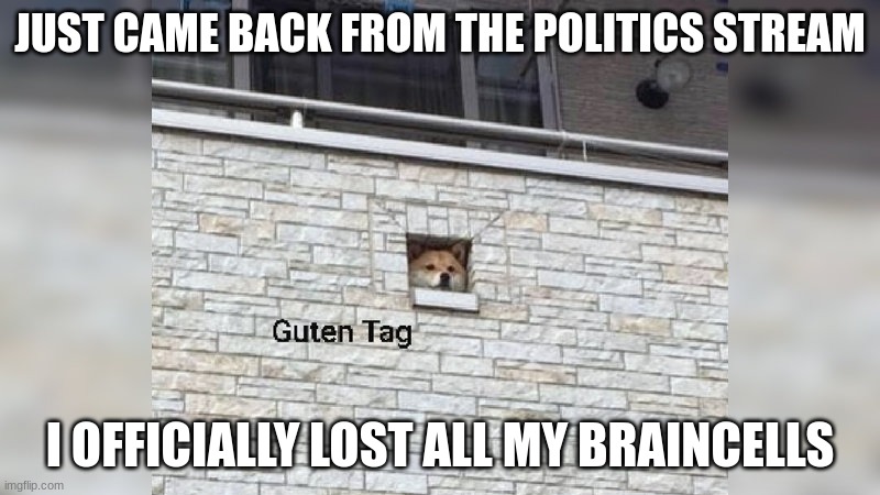 Guten Tag | JUST CAME BACK FROM THE POLITICS STREAM; I OFFICIALLY LOST ALL MY BRAINCELLS | image tagged in guten tag | made w/ Imgflip meme maker