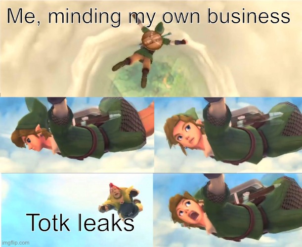 There’s too many… | Me, minding my own business; Totk leaks | image tagged in link falling | made w/ Imgflip meme maker