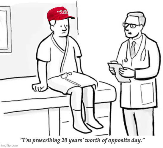 "Now get out." | "I'm prescribing 20 years' worth of opposite day." | image tagged in trump herpes,memes | made w/ Imgflip meme maker