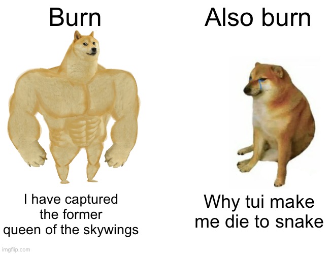 Buff Doge vs. Cheems Meme | Burn; Also burn; I have captured the former queen of the skywings; Why tui make me die to snake | image tagged in memes,buff doge vs cheems | made w/ Imgflip meme maker