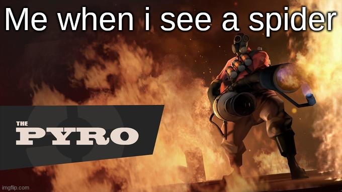 The Pyro - TF2 | Me when i see a spider | image tagged in the pyro - tf2 | made w/ Imgflip meme maker