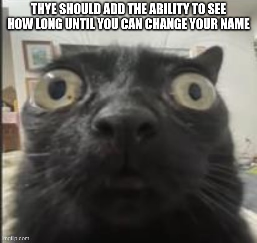 e | THYE SHOULD ADD THE ABILITY TO SEE HOW LONG UNTIL YOU CAN CHANGE YOUR NAME | image tagged in e | made w/ Imgflip meme maker
