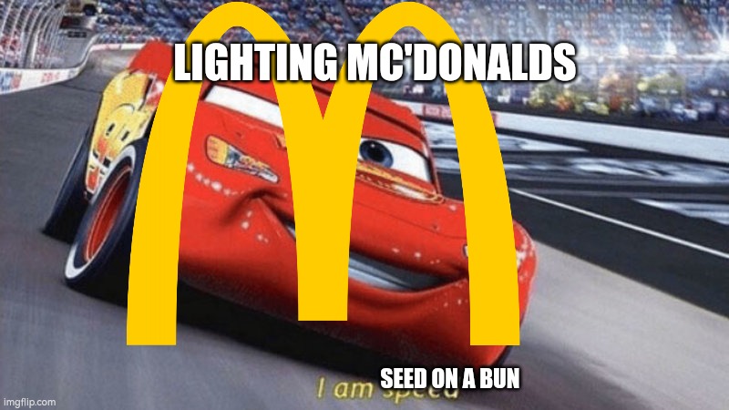 Lighting mc'chicken | LIGHTING MC'DONALDS; SEED ON A BUN | image tagged in lightning mcqueen | made w/ Imgflip meme maker