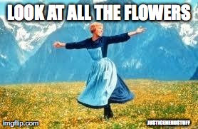 Look At All These | LOOK AT ALL THE FLOWERS JUSTICENERDSTUFF | image tagged in memes,look at all these | made w/ Imgflip meme maker
