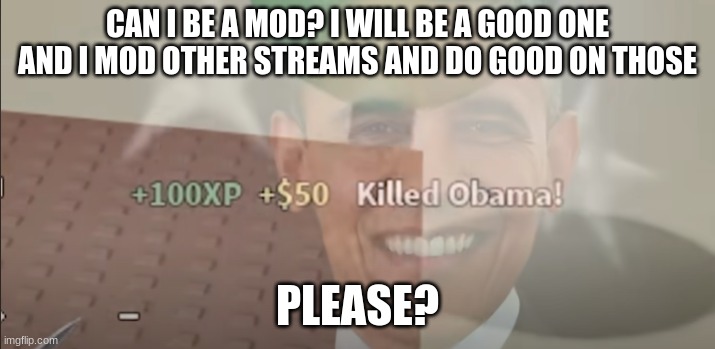 im fine if you say no | CAN I BE A MOD? I WILL BE A GOOD ONE AND I MOD OTHER STREAMS AND DO GOOD ON THOSE; PLEASE? | image tagged in e | made w/ Imgflip meme maker