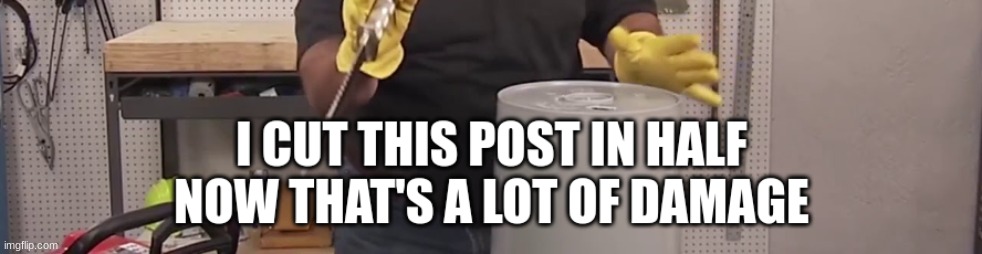 ...I cut this post in half. | made w/ Imgflip meme maker