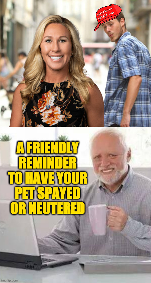 Tell them you're taking them to the gun show. | A FRIENDLY REMINDER TO HAVE YOUR PET SPAYED OR NEUTERED | image tagged in distracted gullible fella,psa harold,memes | made w/ Imgflip meme maker