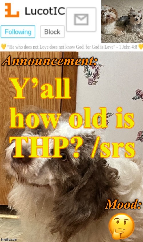 . | Y’all how old is THP? /srs; 🤔 | image tagged in lucotic s fangz announcement temp thanks strike | made w/ Imgflip meme maker