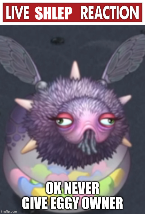 live shLep reaction | OK NEVER GIVE EGGY OWNER | image tagged in live shlep reaction | made w/ Imgflip meme maker