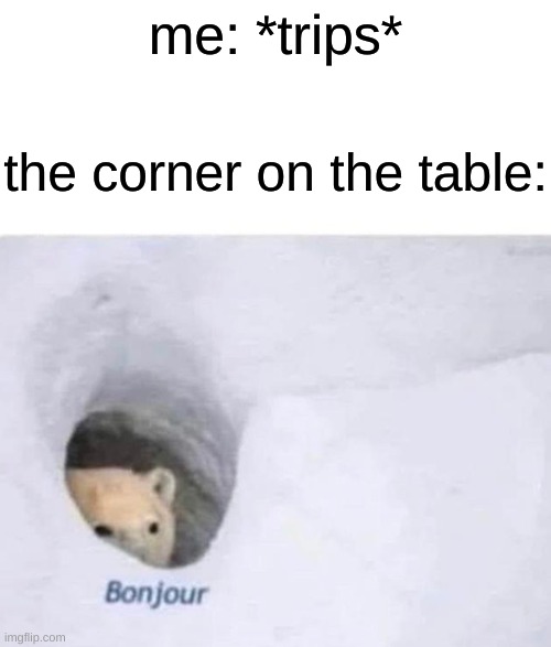 [insert funny title here] | me: *trips*; the corner on the table: | image tagged in bonjour,memes | made w/ Imgflip meme maker