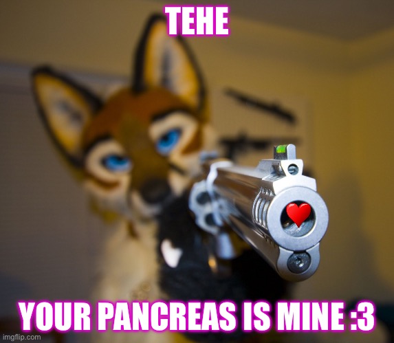 Furry with gun | TEHE; YOUR PANCREAS IS MINE :3 | image tagged in furry with gun | made w/ Imgflip meme maker