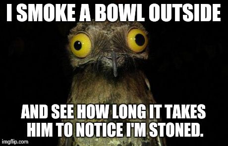 Weird Stuff I Do Potoo | I SMOKE A BOWL OUTSIDE AND SEE HOW LONG IT TAKES HIM TO NOTICE I'M STONED. | image tagged in memes,weird stuff i do potoo,AdviceAnimals | made w/ Imgflip meme maker