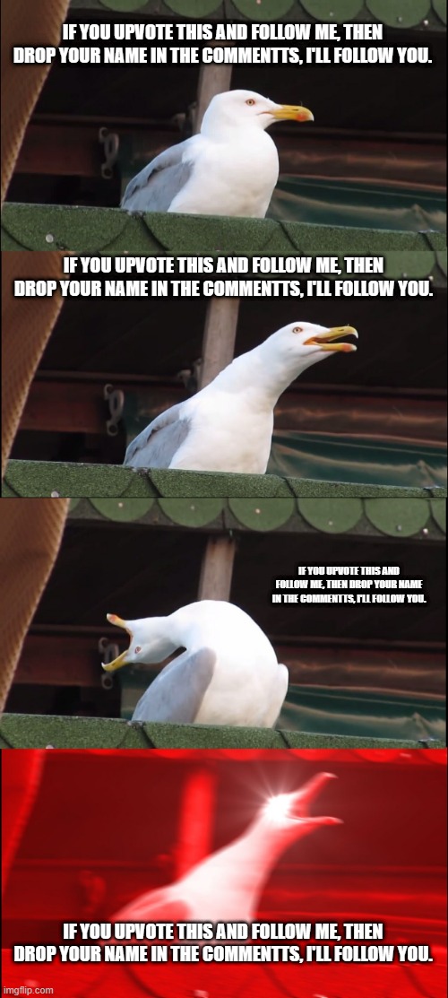 Inhaling Seagull Meme | IF YOU UPVOTE THIS AND FOLLOW ME, THEN DROP YOUR NAME IN THE COMMENTTS, I'LL FOLLOW YOU. IF YOU UPVOTE THIS AND FOLLOW ME, THEN DROP YOUR NAME IN THE COMMENTTS, I'LL FOLLOW YOU. IF YOU UPVOTE THIS AND FOLLOW ME, THEN DROP YOUR NAME IN THE COMMENTTS, I'LL FOLLOW YOU. IF YOU UPVOTE THIS AND FOLLOW ME, THEN DROP YOUR NAME IN THE COMMENTTS, I'LL FOLLOW YOU. | image tagged in memes,inhaling seagull | made w/ Imgflip meme maker