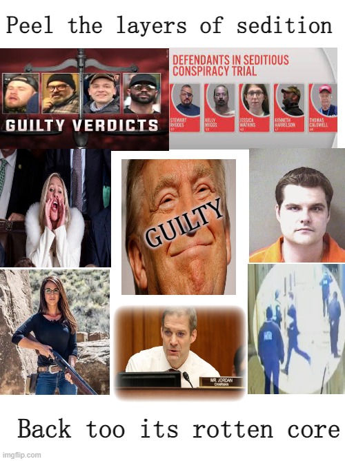 Because justice matters | Peel the layers of sedition; GUILTY; Back too its rotten core | image tagged in donald trump,traitor,capital,riots,politics | made w/ Imgflip meme maker