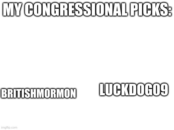 MY CONGRESSIONAL PICKS:; BRITISHMORMON; LUCKDOG09 | image tagged in memes | made w/ Imgflip meme maker