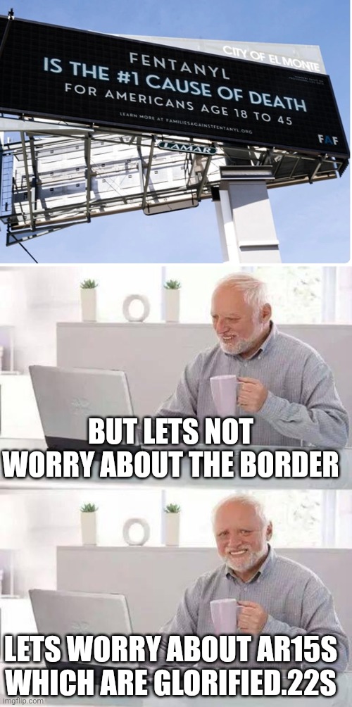 BUT LETS NOT WORRY ABOUT THE BORDER; LETS WORRY ABOUT AR15S WHICH ARE GLORIFIED.22S | image tagged in memes,hide the pain harold | made w/ Imgflip meme maker