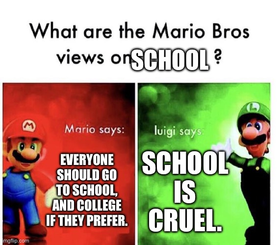 Mario Bros Views | SCHOOL; EVERYONE SHOULD GO TO SCHOOL, AND COLLEGE IF THEY PREFER. SCHOOL IS CRUEL. | image tagged in mario bros views | made w/ Imgflip meme maker