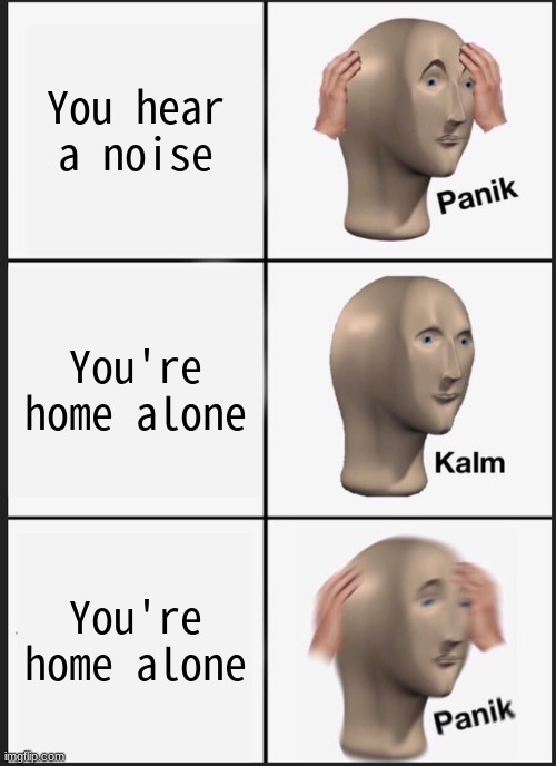 Idea credit: WEOMOEW | You hear a noise; You're home alone; You're home alone | image tagged in memes,panik kalm panik | made w/ Imgflip meme maker