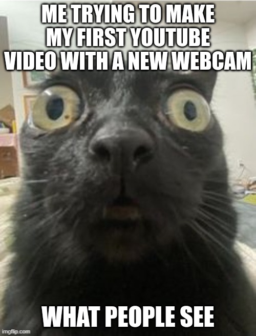 so true | ME TRYING TO MAKE MY FIRST YOUTUBE VIDEO WITH A NEW WEBCAM; WHAT PEOPLE SEE | image tagged in cat | made w/ Imgflip meme maker